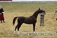 09usn-22663 proof