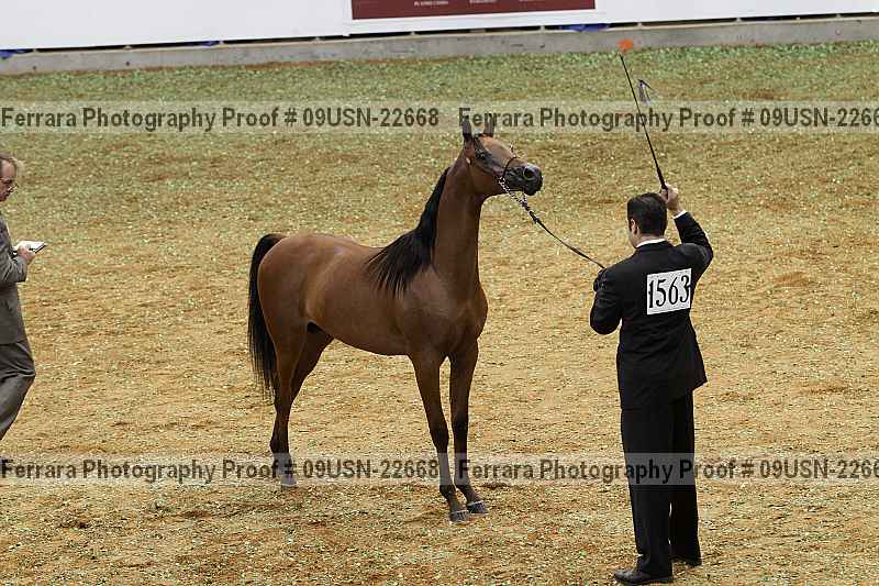 Proof 09usn-22668