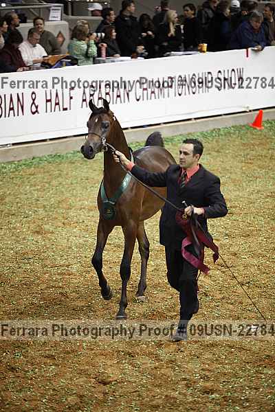Proof 09usn-22784