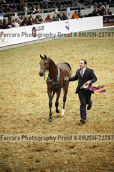 Proof 09usn-22787