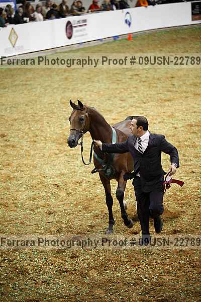 Proof 09usn-22789