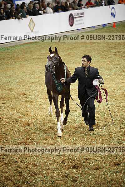 Proof 09usn-22795