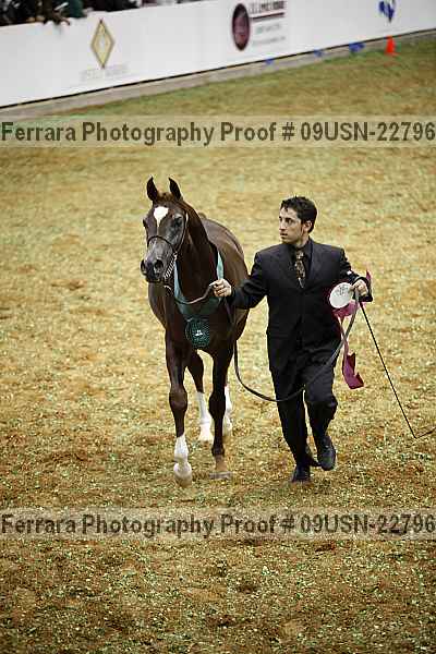 Proof 09usn-22796