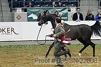 09usn-22808 proof