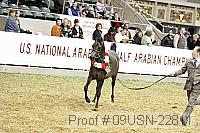 09usn-22811 proof