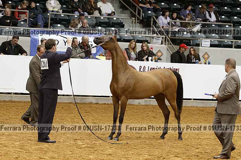 Proof 09usn-17338