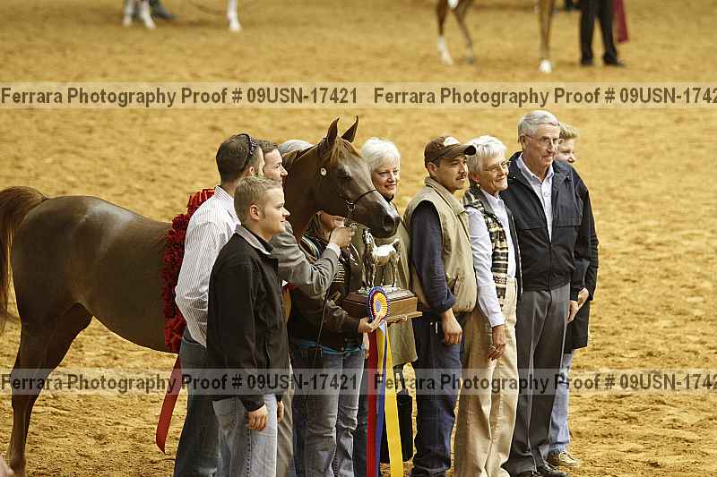 Proof 09usn-17421