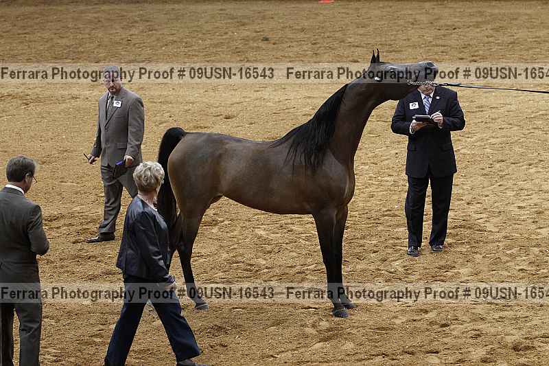 Proof 09usn-16543