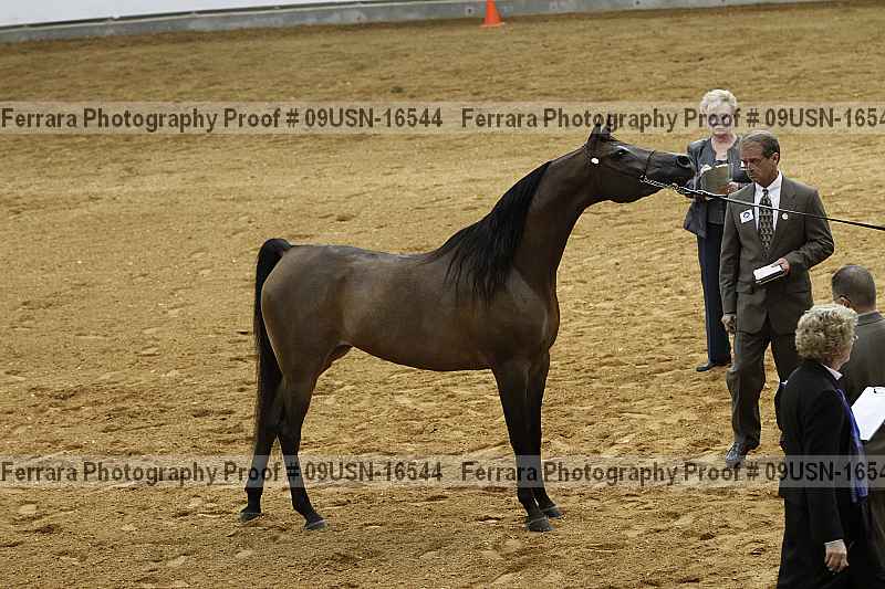 Proof 09usn-16544