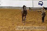 09usn-16568 proof