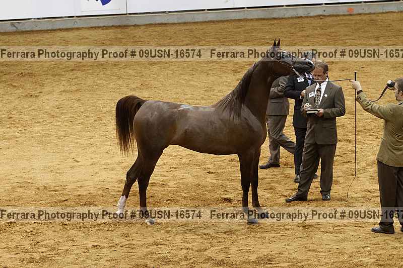 Proof 09usn-16574