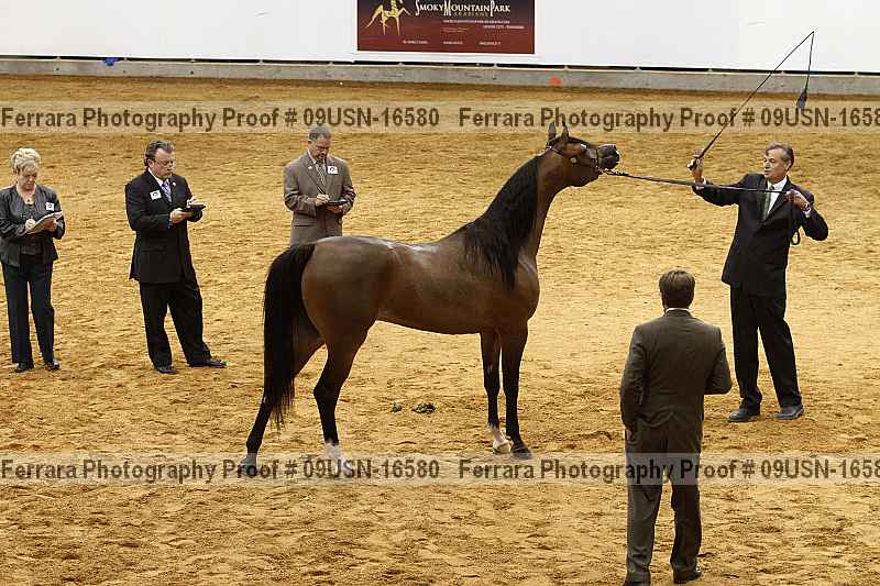 Proof 09usn-16580