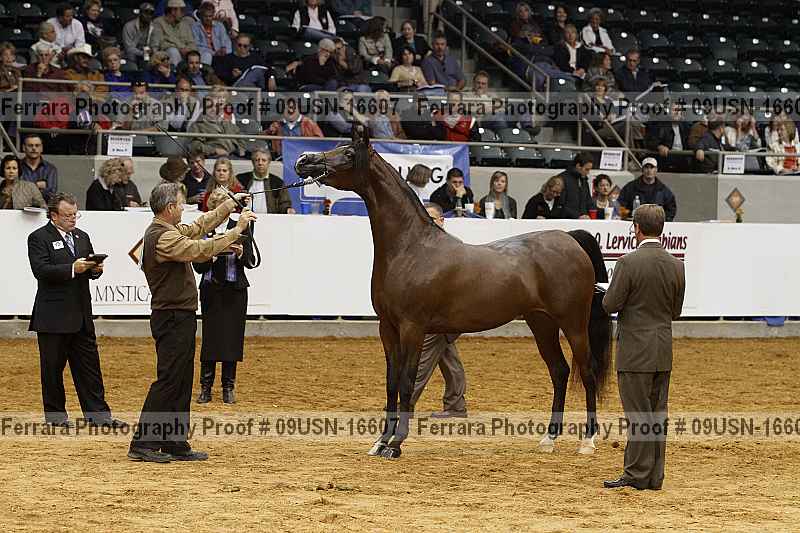 Proof 09usn-16607