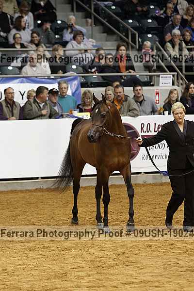 Proof 09usn-19024