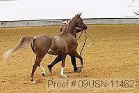 09usn-11462 proof