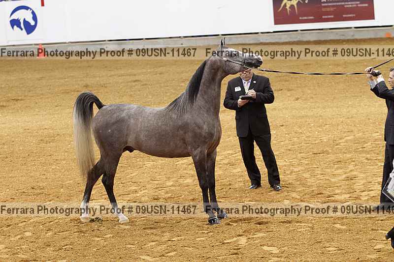 Proof 09usn-11467
