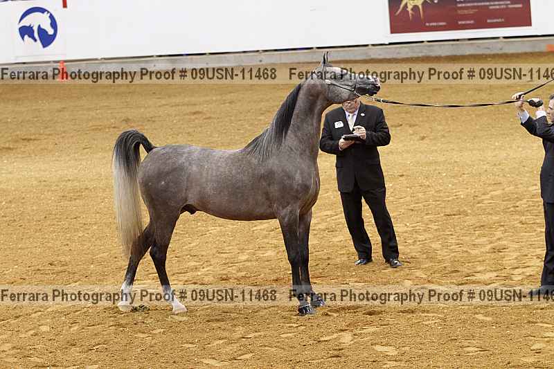 Proof 09usn-11468