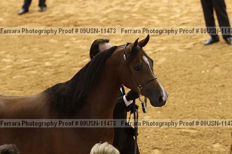 Proof 09usn-11473