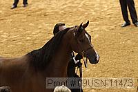 09usn-11473 proof
