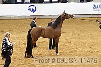 09usn-11476 proof