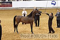 09usn-11486 proof