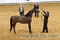 09usn-11489 proof