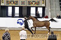 09usn-11491 proof