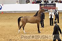 09usn-11492 proof