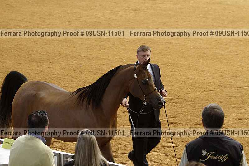 Proof 09usn-11501