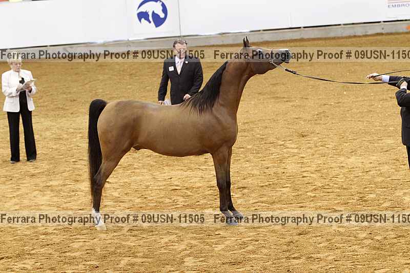 Proof 09usn-11505