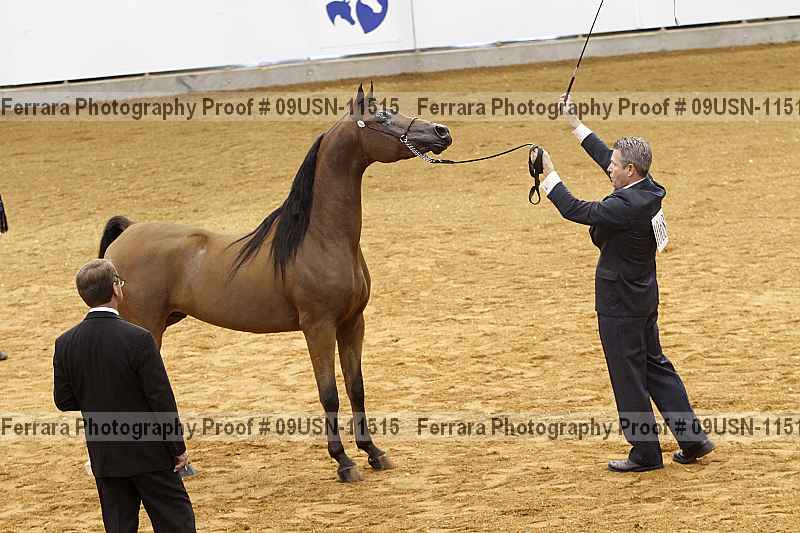 Proof 09usn-11515