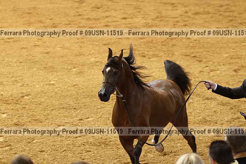 Proof 09usn-11519