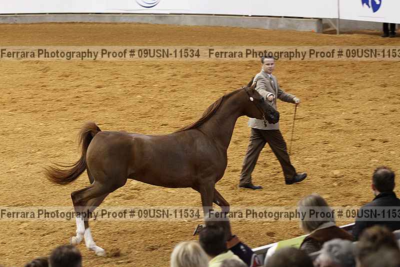 Proof 09usn-11534