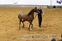 09usn-11552 proof