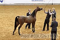 09usn-11559 proof