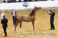 09usn-11566 proof