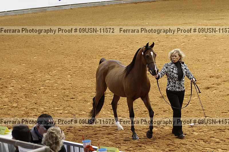 Proof 09usn-11572