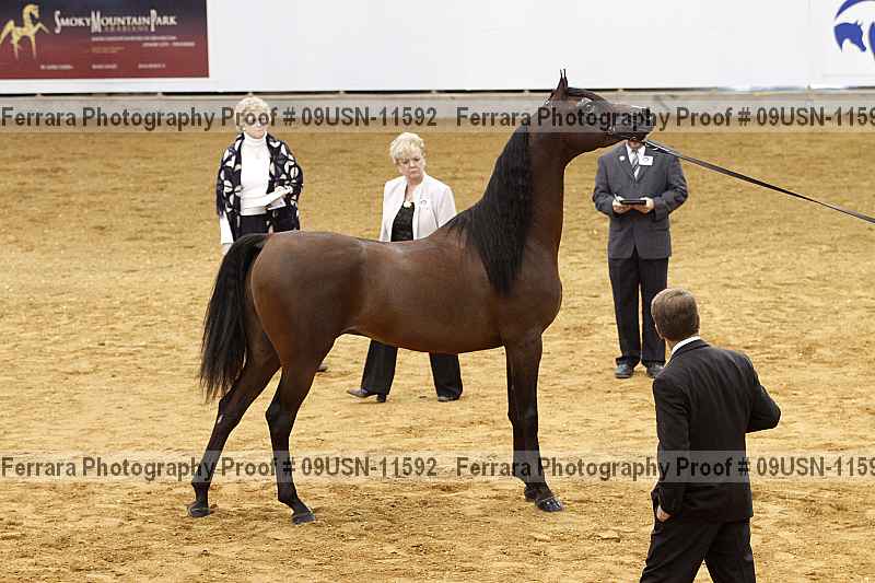 Proof 09usn-11592