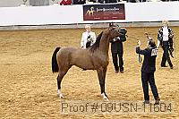 09usn-11604 proof