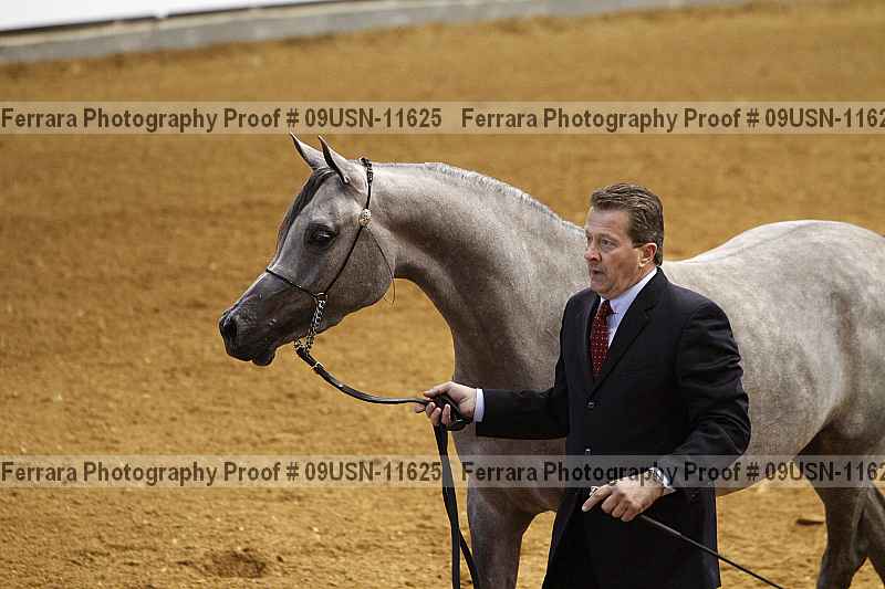 Proof 09usn-11625