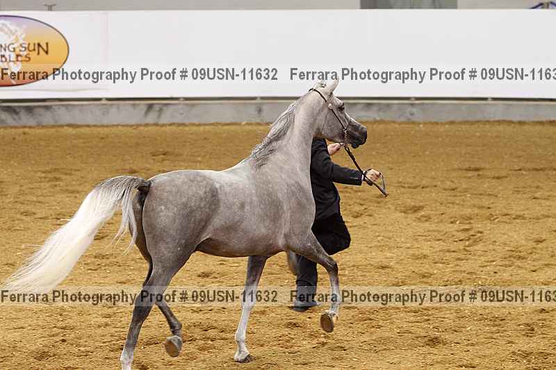 Proof 09usn-11632