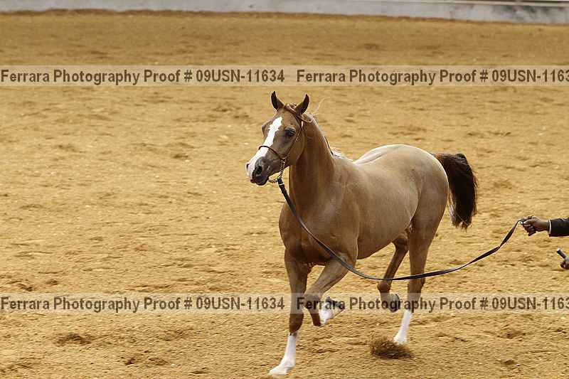 Proof 09usn-11634