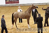 09usn-11636 proof