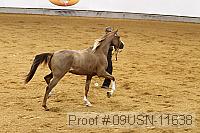 09usn-11638 proof