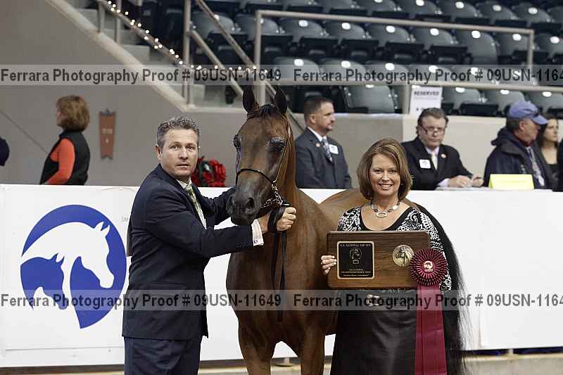 Proof 09usn-11649