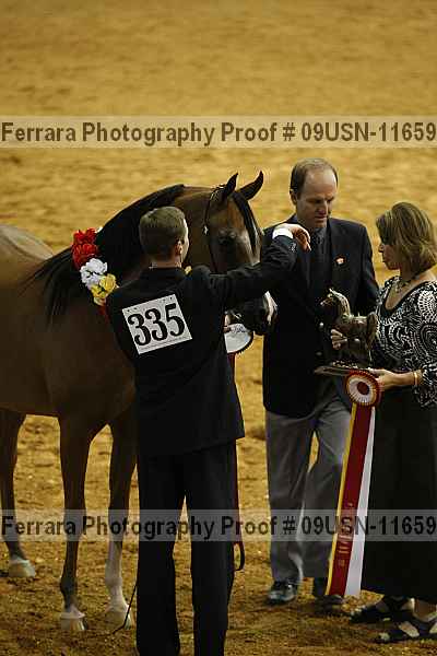 Proof 09usn-11659