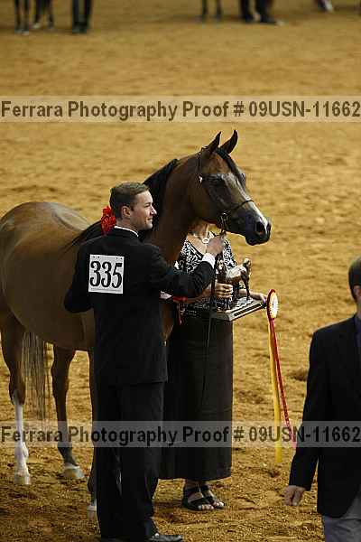 Proof 09usn-11662