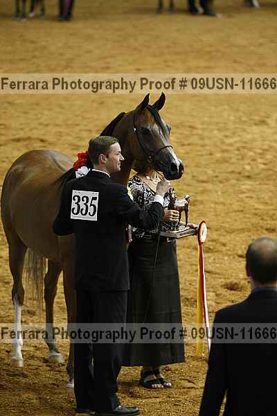 Proof 09usn-11666