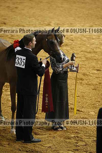 Proof 09usn-11668