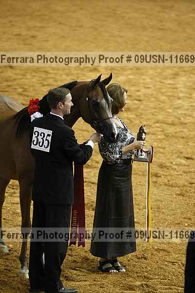 Proof 09usn-11669